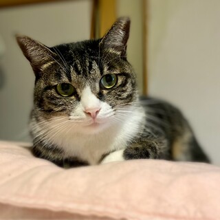 人慣れ修行中…この子にも家族を❣️