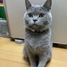 myk37458さん