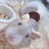 おれお.02