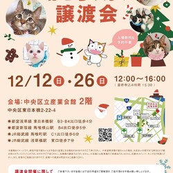 ねこざんまい譲渡会＠東日本橋
