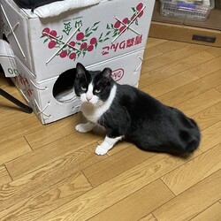 「切れた堪忍袋 o(｀ω´ )o」サムネイル2