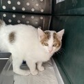 ちょっと人見知りな子