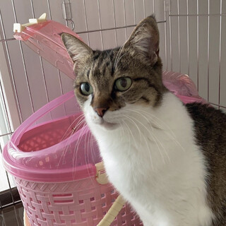 いいご縁に繋がりました