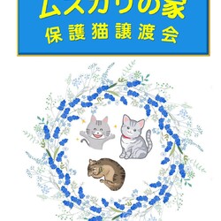 譲渡会 サムネイル2