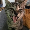 やんちゃなイケメン　ゴンちゃんです