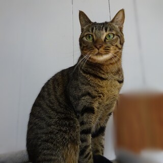 ちょっぴりシャイ？な「アローズ」くん♡