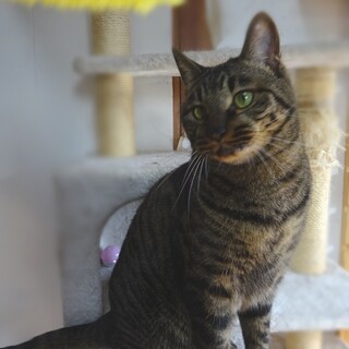 遊ぶの大好き「マーガレット」くん♡