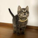 甘えん坊な男の子♪ちーちゃん♡