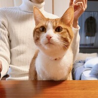 むぎ