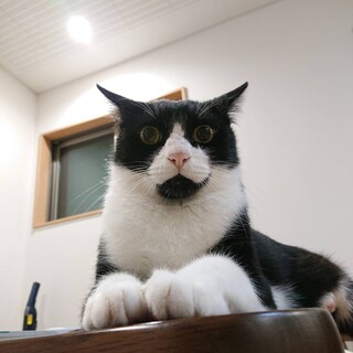 甘えんぼうな大きなオジサン！笑