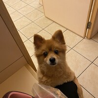 クリス
