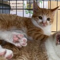 日向とママに穏やかで温かなおうち暮らしを､､､♡