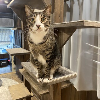 綺麗なお顔　おもちゃが大好き！のん君