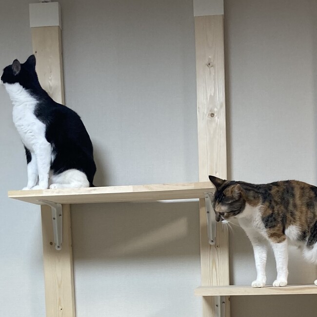 takuboarderのカバー写真