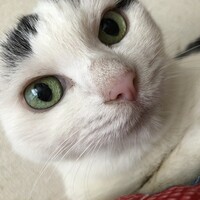 にも
