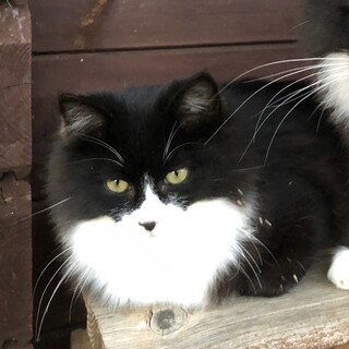 おかげさまで素敵な里親様と出会えました♡