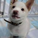 人大好きな可愛い男の子です。