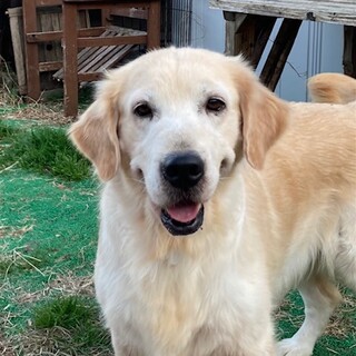 お申し込み多数のため終了＊ナナ