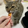 ももたろ1201さん