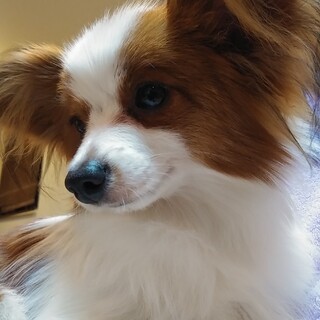 交渉中です。一時的に募集を止めます