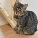 いつも一緒♡うるちゃん