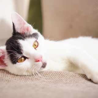 4ヶ月かわいらしい元気な男の子