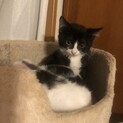 白黒コーデの仲良しきょうだい　ジュリ♡