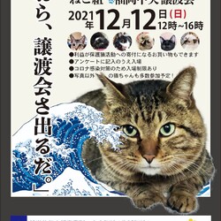 ねこ組福岡中央譲渡会（予約不要）