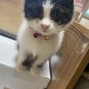 の写真