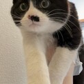 甘えん坊の丸顔男の子♡