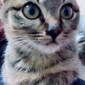 男の子