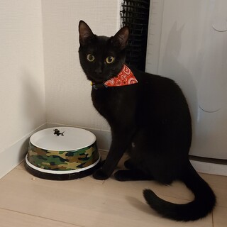 12/9最新☆募集中です♪