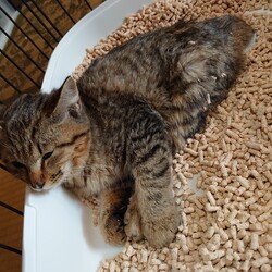 事故にあった子二日目