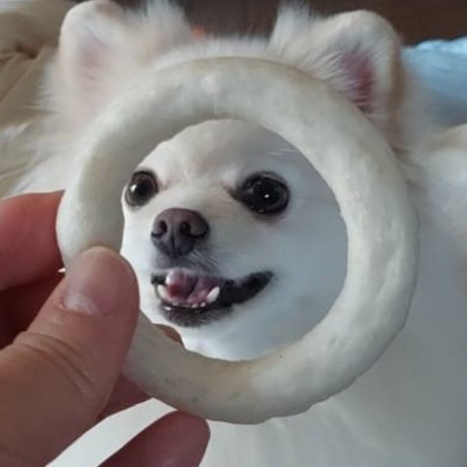 ロキのカバー写真