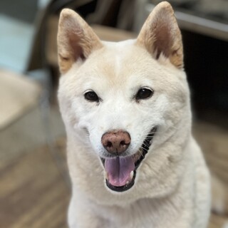 元気な女の子　白いエットちゃん