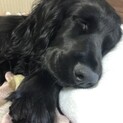 マンションからの苦情で…