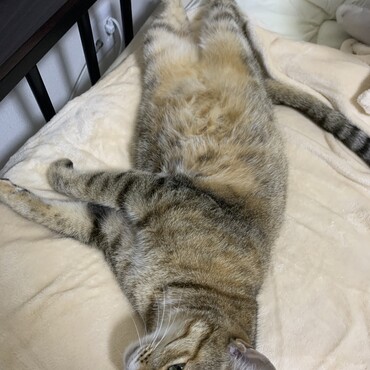 今日もひたすら甘えん坊さんです(^^)