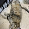 今日もひたすら甘えん坊さんです(^^)