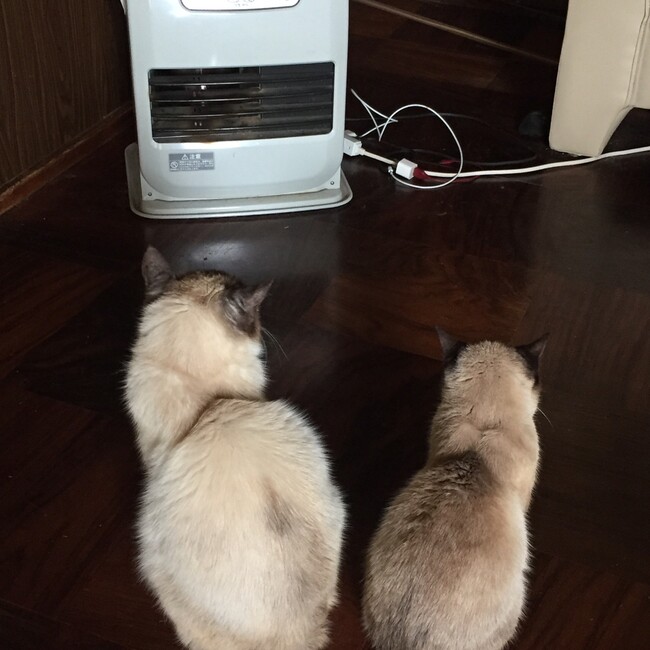 おくわsotaのカバー写真