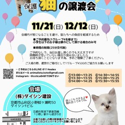 保護猫の譲渡会