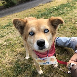 『ユナ』諸事情により募集を一旦停止致します