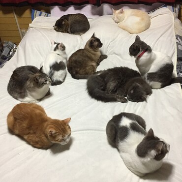 みんな　仲良しだったよね～