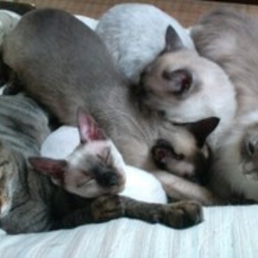 母ちゃん　寂しいなぁ・・・