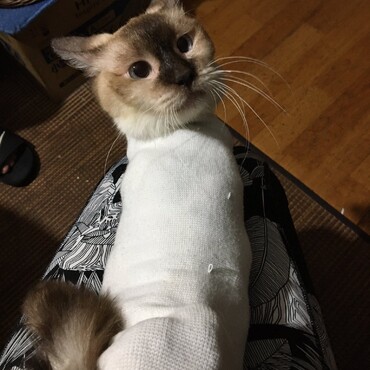 頑張って　ゴハン食べたね　えらかったよ～