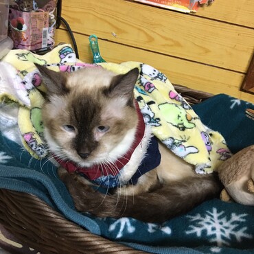 I miss you so much, baby...