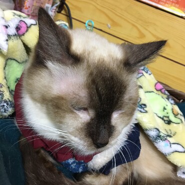 I hope to see you soon, my baby!