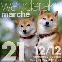 わんだらけ21 サムネイル1