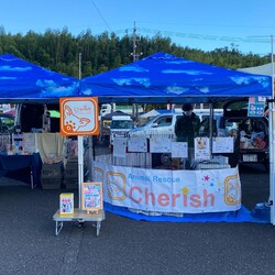 わんだらけ21 サムネイル2