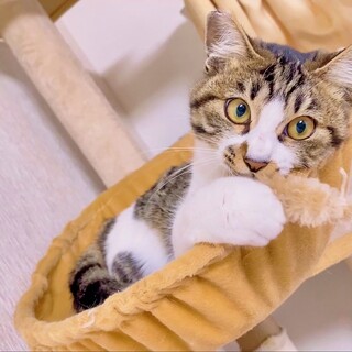 あまえんぼナナちゃん❣