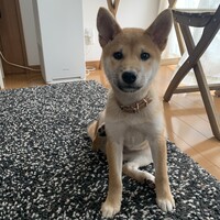 天